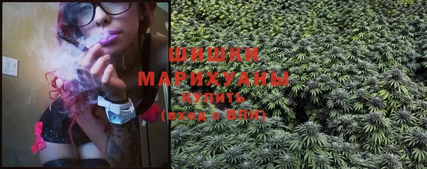 круглые Белокуриха
