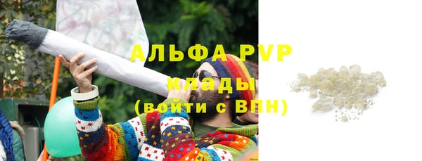 круглые Белокуриха